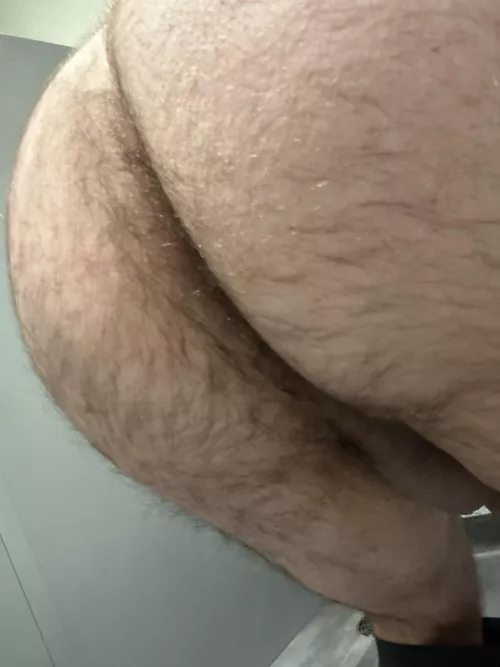Who wants some work hairy man ass?