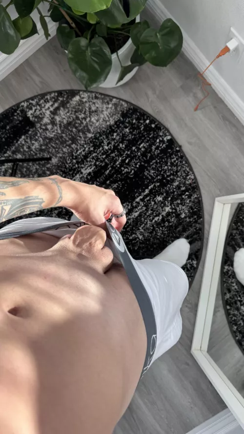 Who wants to get milked?