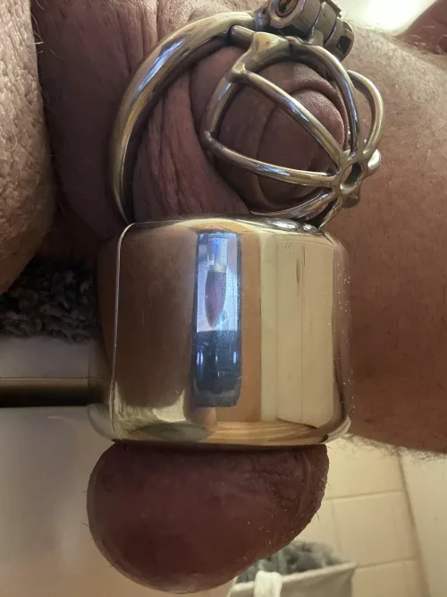 Caged and weighted. Let’s see if I can goo all weekend