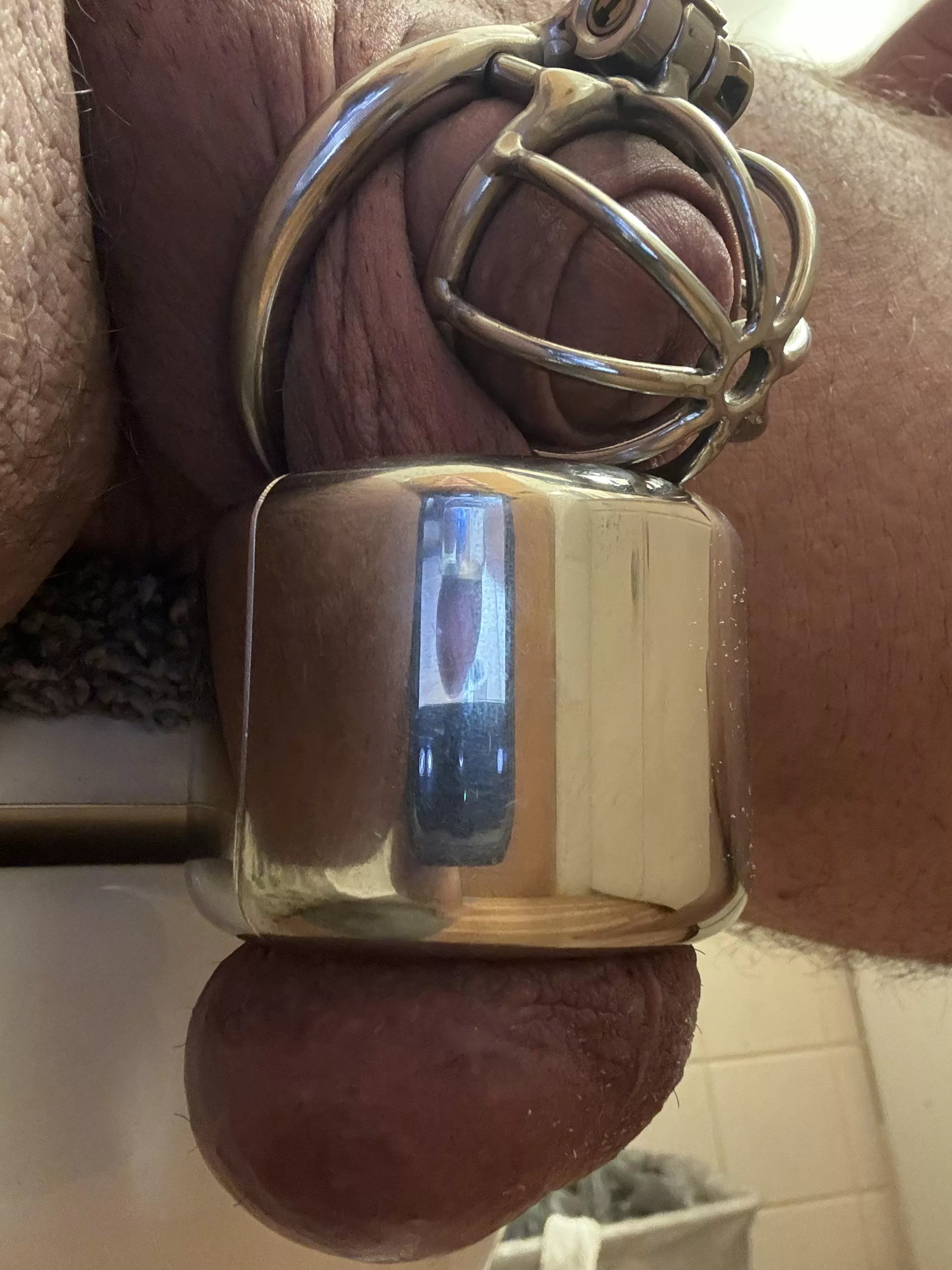 Caged and weighted. Let’s see if I can goo all weekend