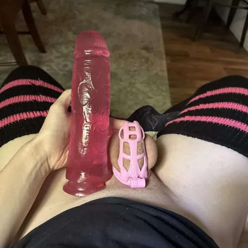 day 13 in chastity. my girlfriend wants me to understand that i don’t have a cock, i have a clitty that needs to be caged and abused.