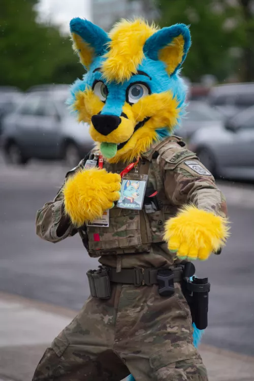 Furlandia 2024