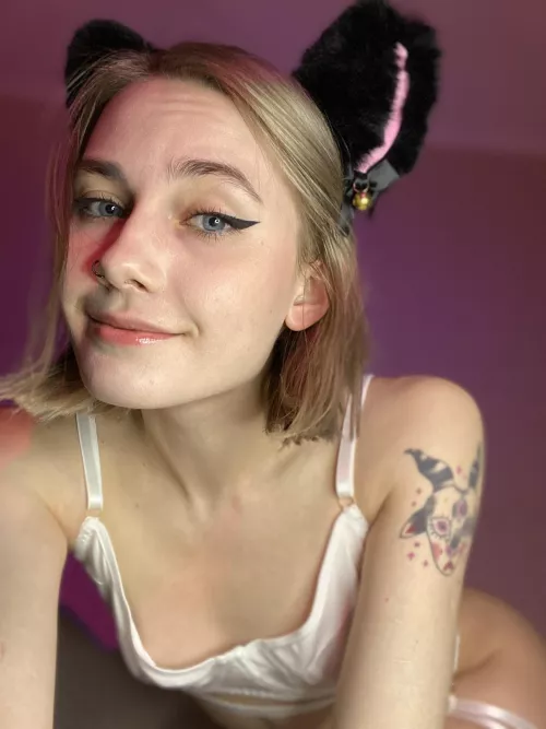 It's hard to be a good cat, but I'll do my best for you