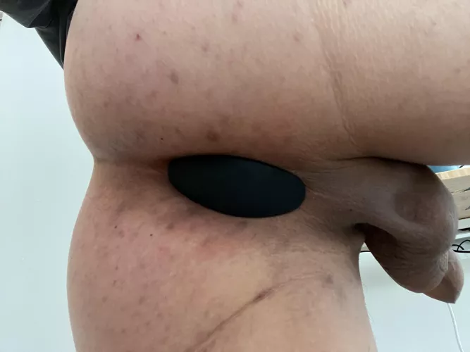 Working from home is more fun when your ass is plugged