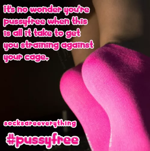 You love socks, you need socks, you crave socks. You will remain pussyfree for life silly beta!