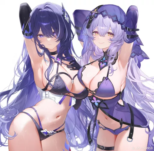 Acheron & Black Swan [Honkai Star Rail]