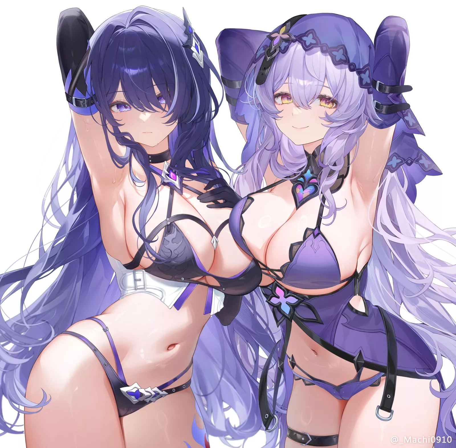 Acheron & Black Swan [Honkai Star Rail]