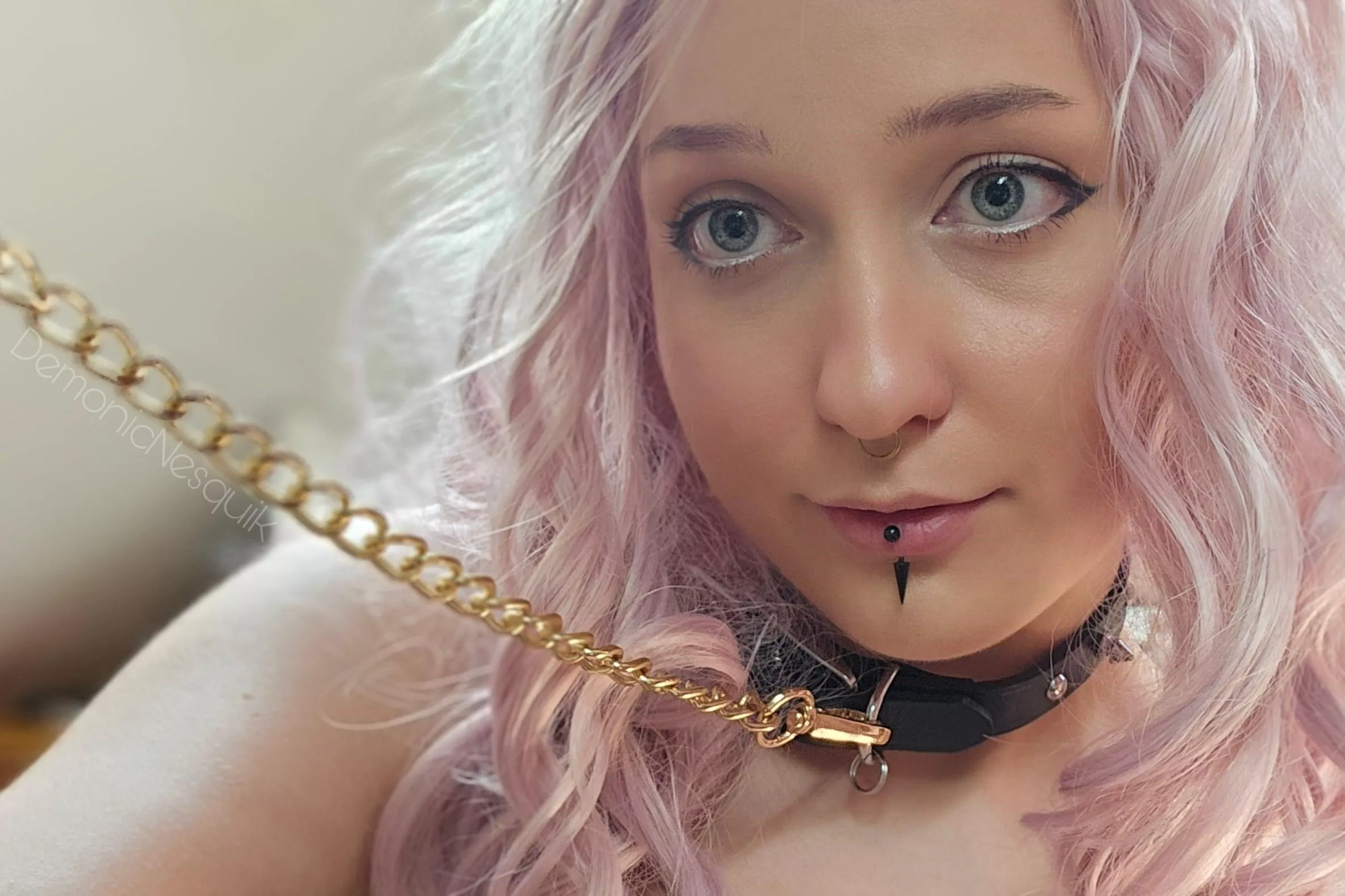 Collared pet ready to please you