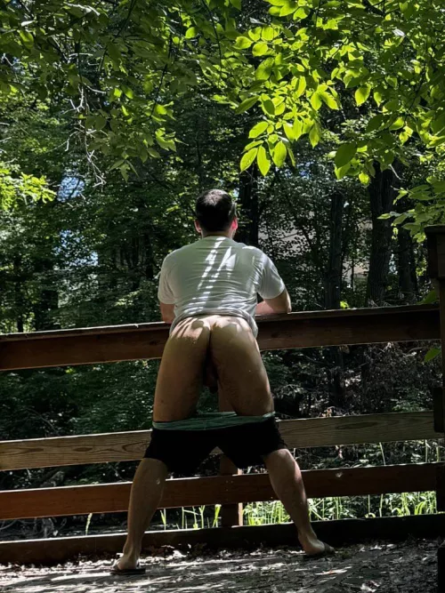 Hairy forest ass (32)