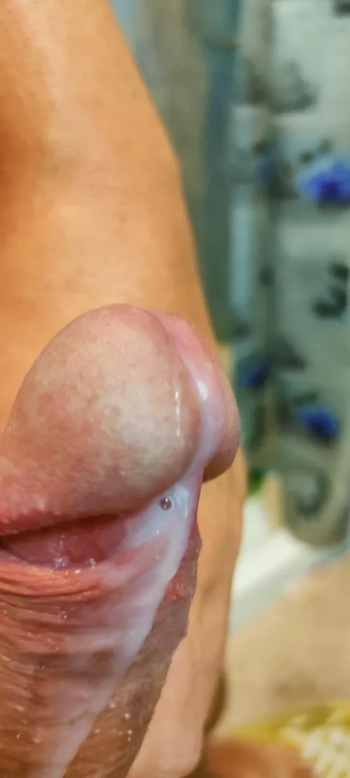 I need to order a tongue