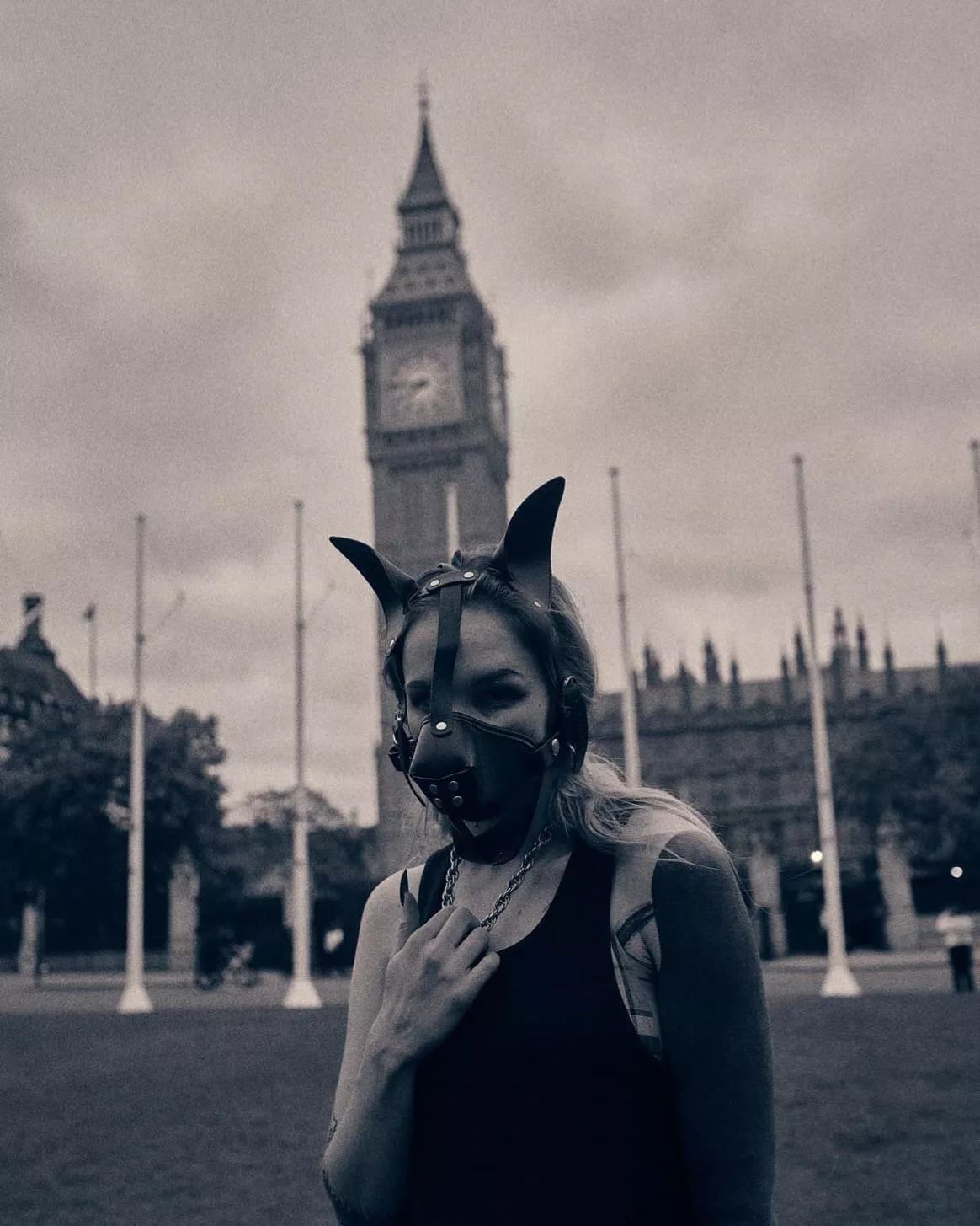 Just a stray in the city