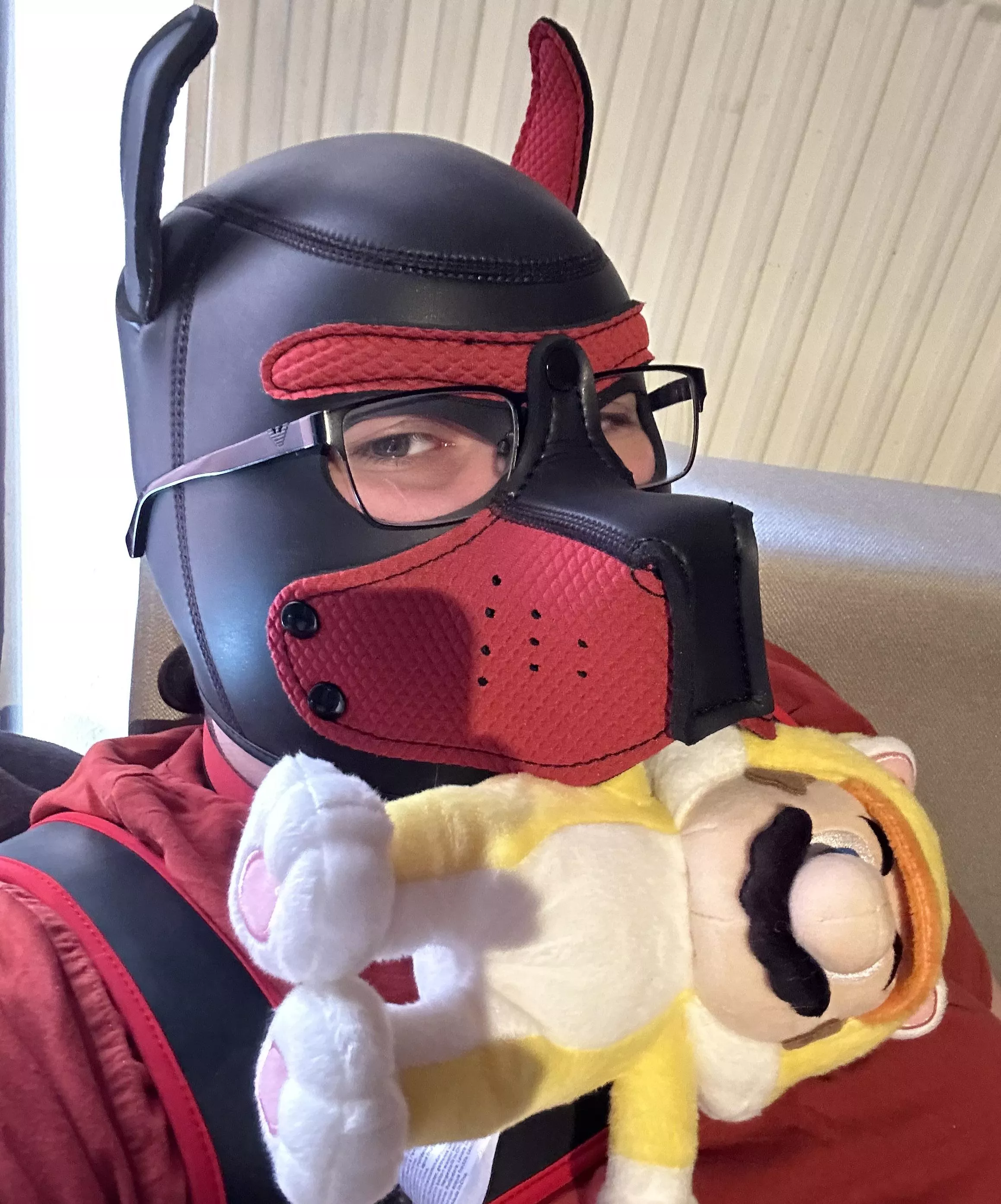 Pup found a new toy to Play with!