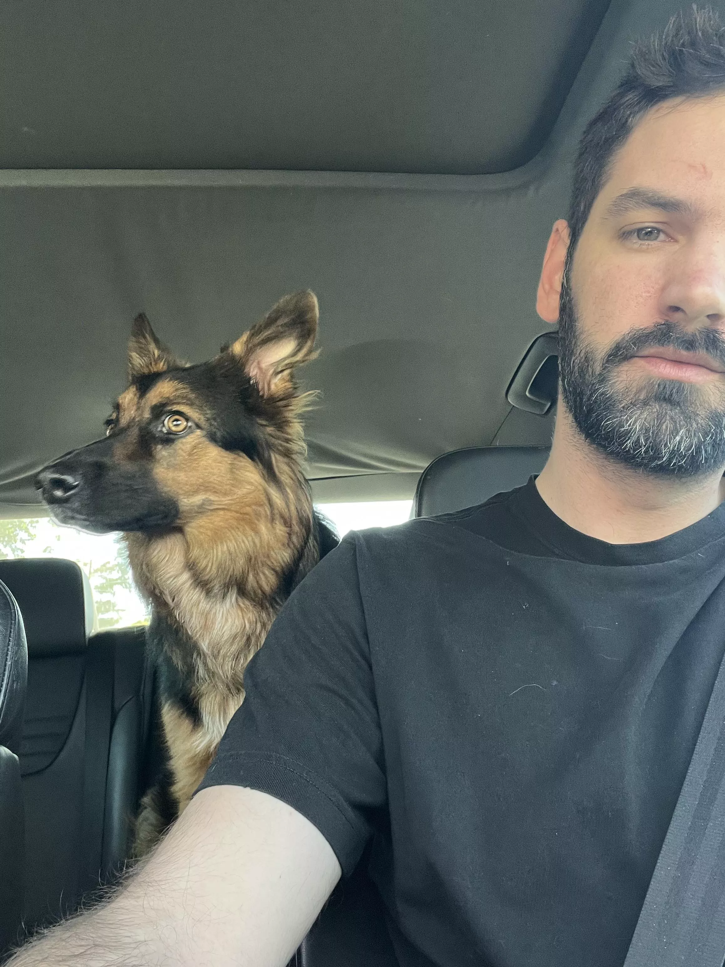 Zoey can’t wait to go scare the geese at the park 🪿 (she’s a menace)