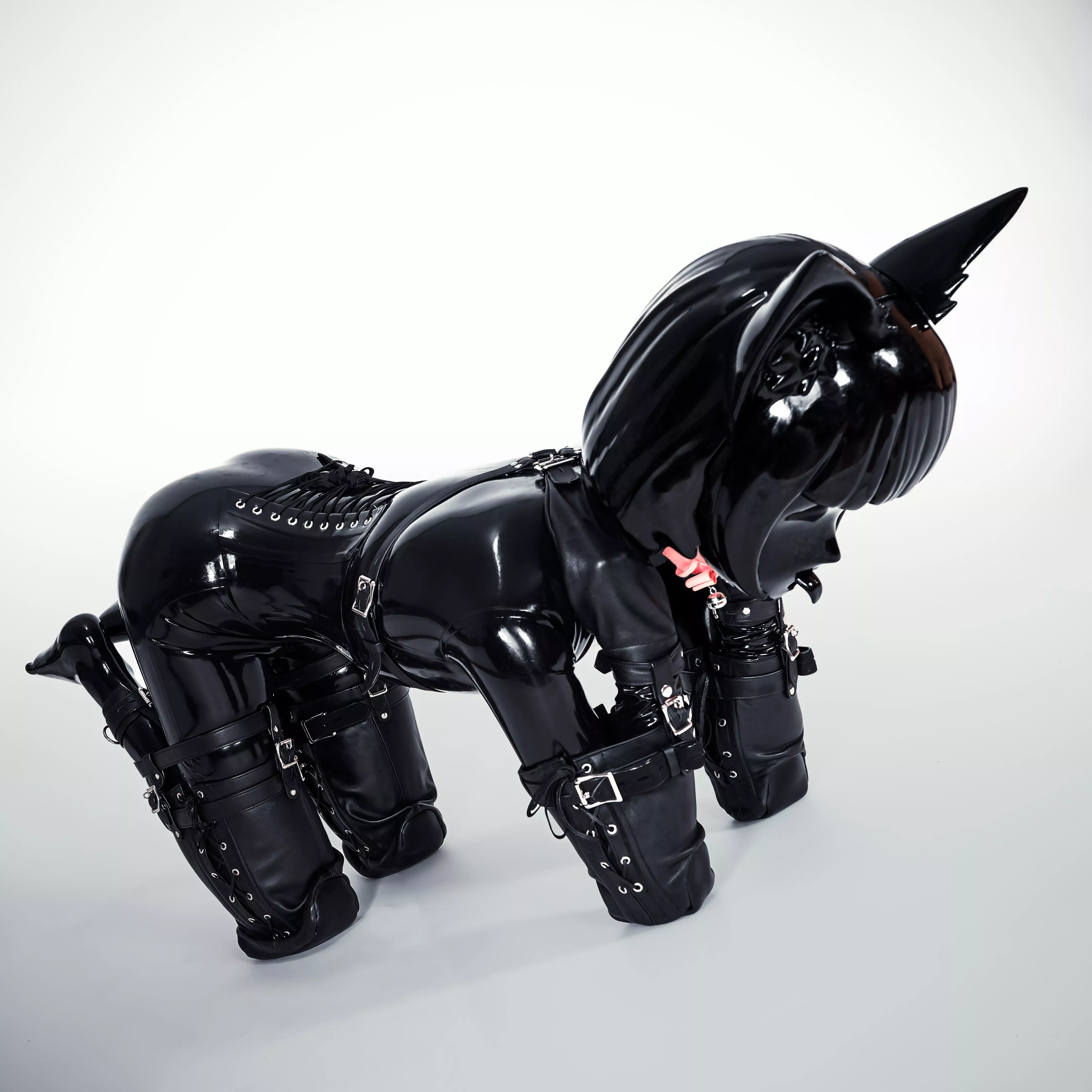 First time trying a bitchsuit. Suits me well, don't ya think? 😸