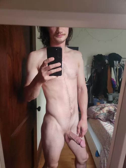 Morning wood, morning sunlight