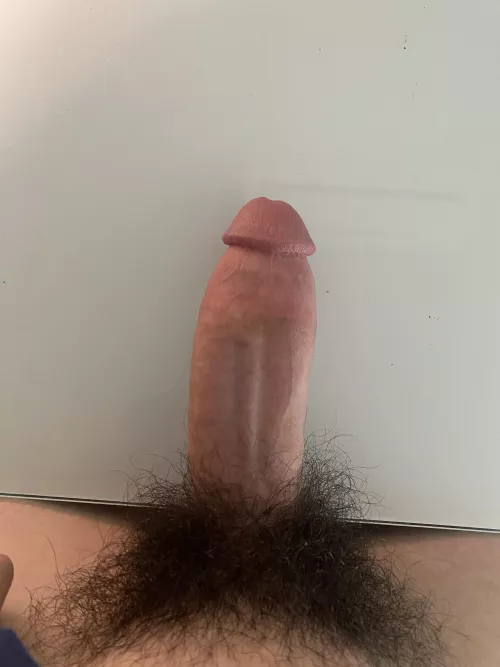 Need somewhere to put this. Any ideas? 