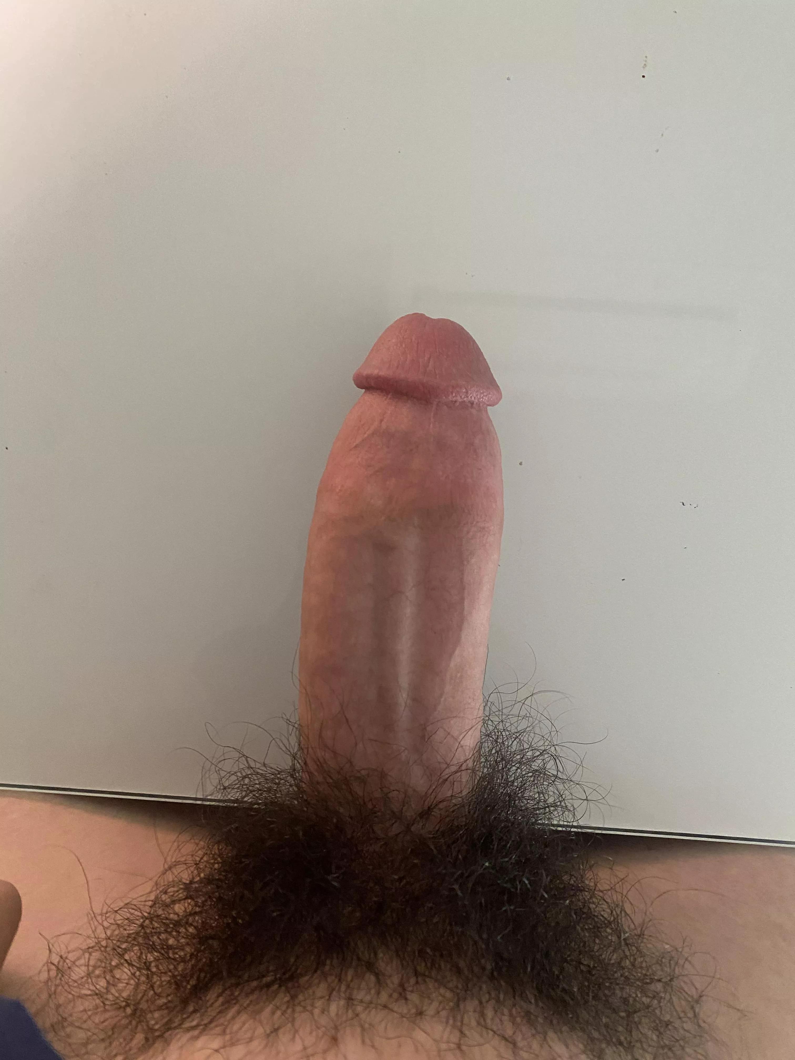 Need somewhere to put this. Any ideas? 