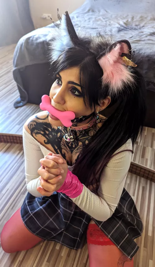 What word can you use to describe a naughty kitten?