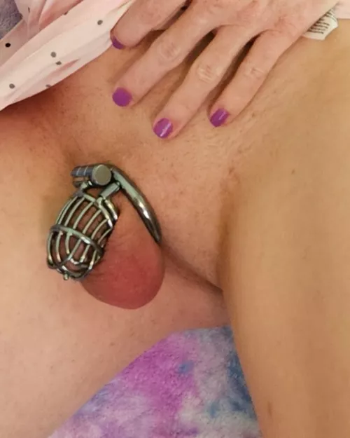 Securely locked in titanium. The PA guarantees no cheating. 