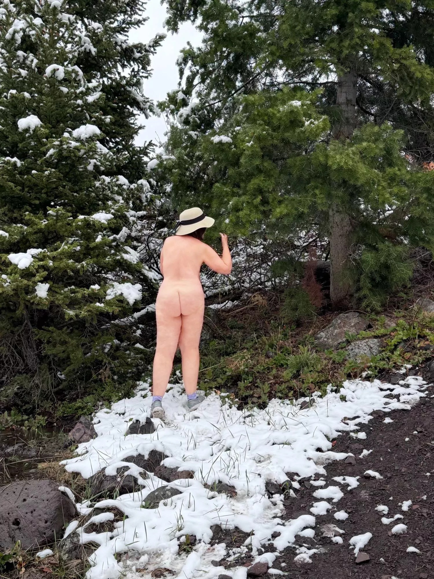 Take time to smell the pines🌲