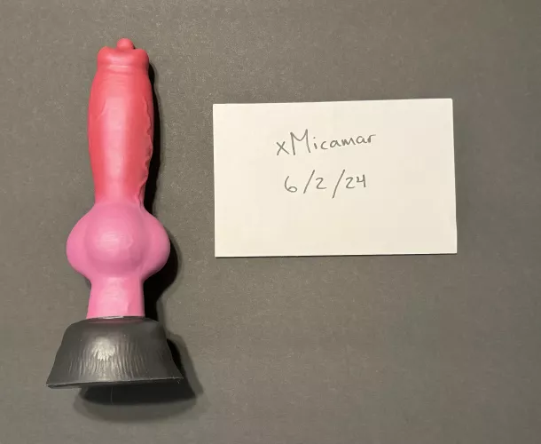 WTS Rex Large / Medium Firmness (US Only)