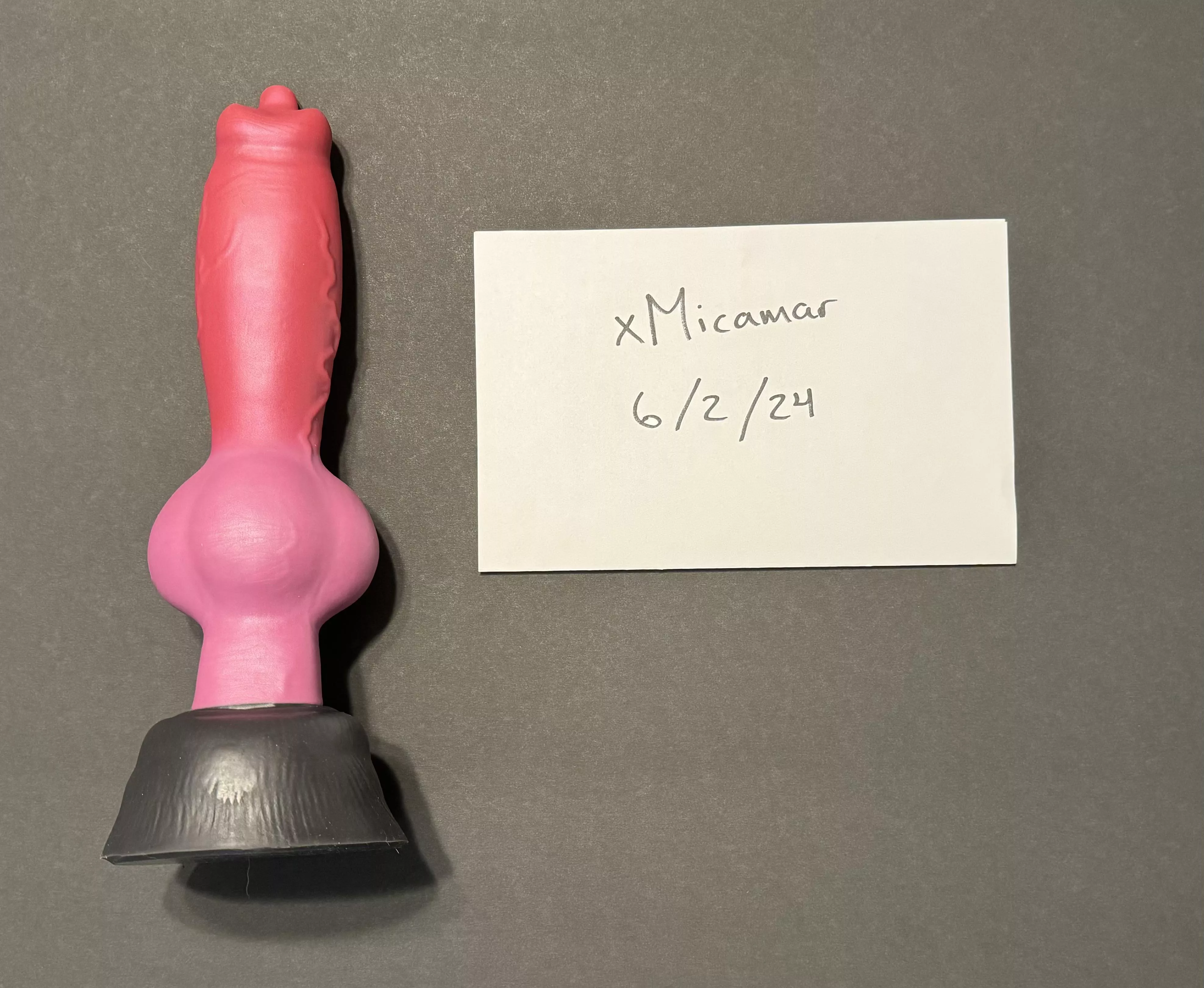 WTS Rex Large / Medium Firmness (US Only)
