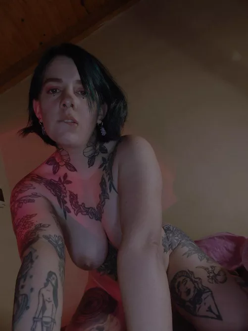 Im hungry and looking for a snack