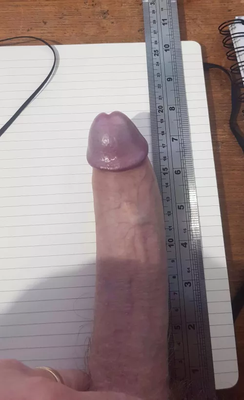 Just 8 inches - hope you like [54]