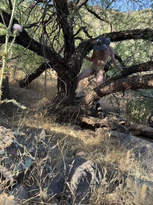 🌳 Tree pose Tuesday 🌳