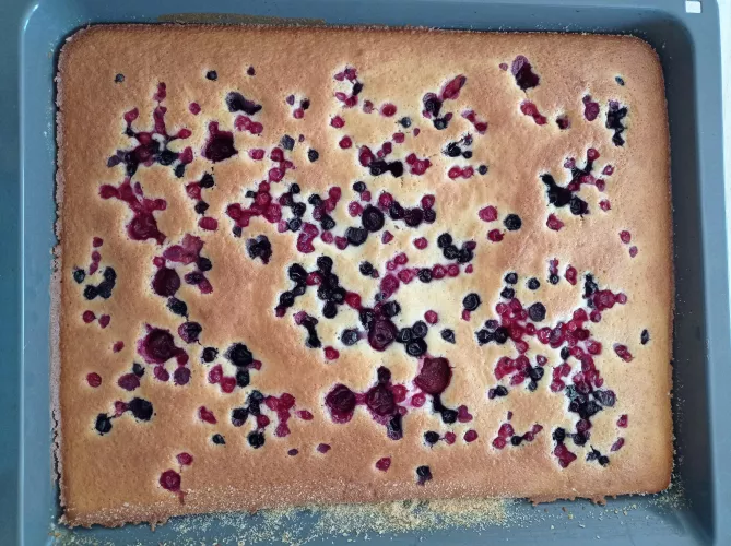 What would you do, if I brought this to you?