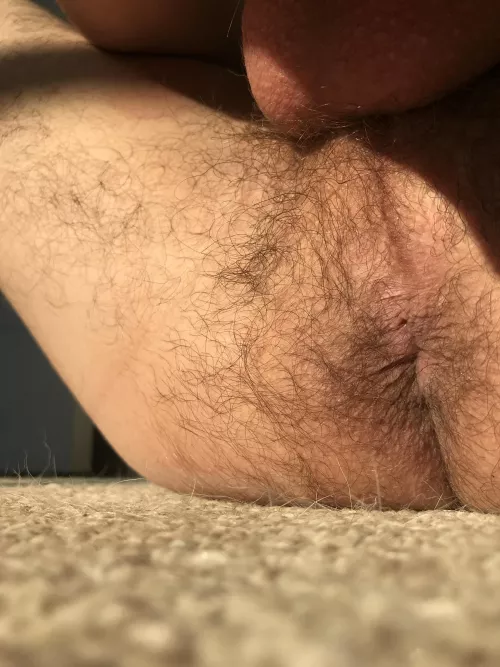 Hairy hole wants you