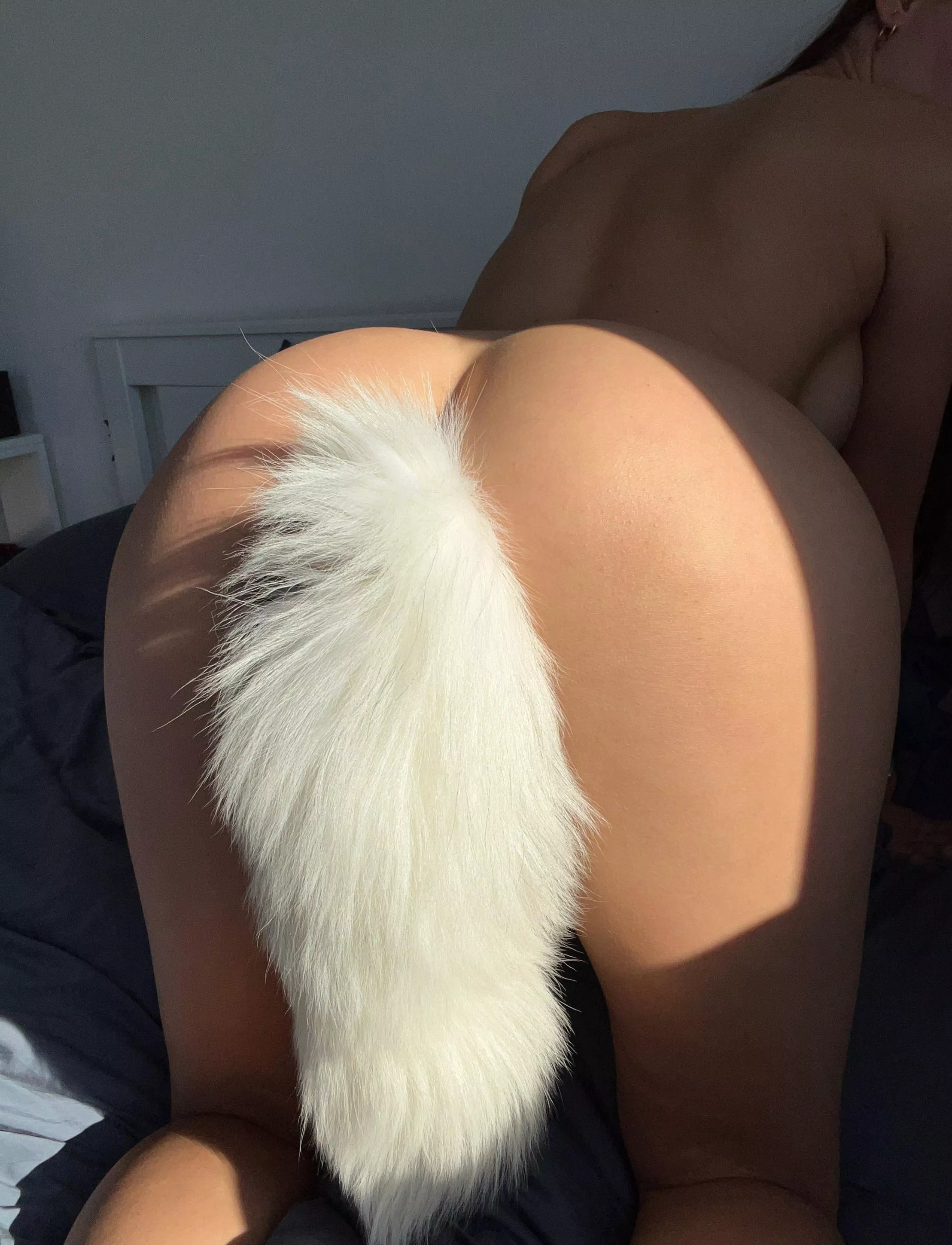 Showing off my favorite foxy tail plug
