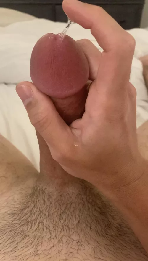 I love playing with the precum while I edge myself (28)