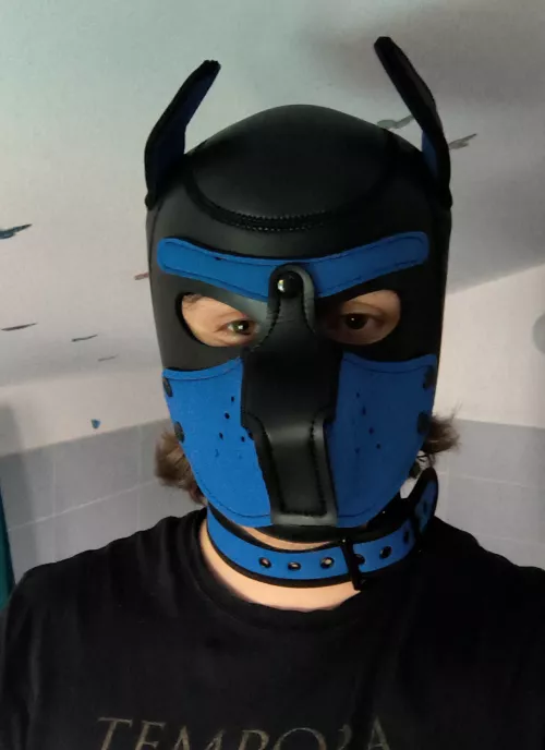 Just got my first hood, how do I look?