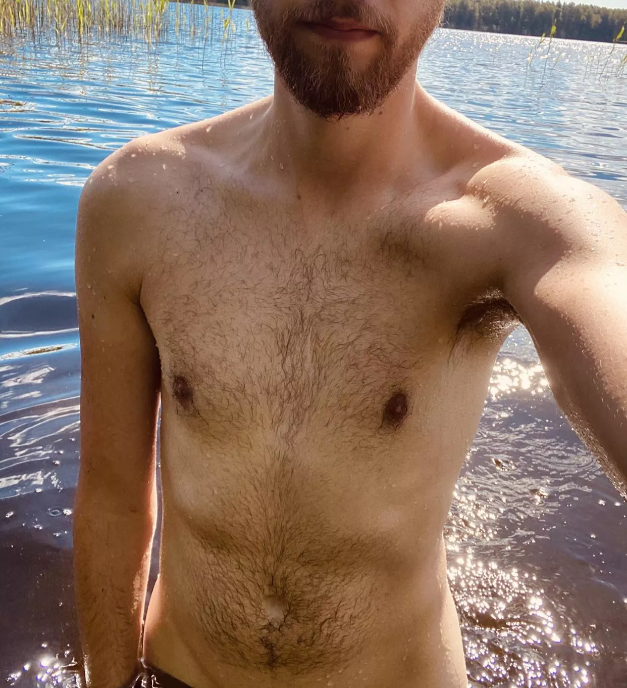 Am I Otter or a Twink?