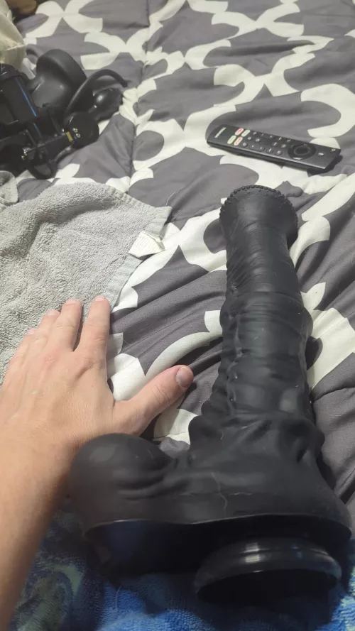 Got a new toy who wants to watch 