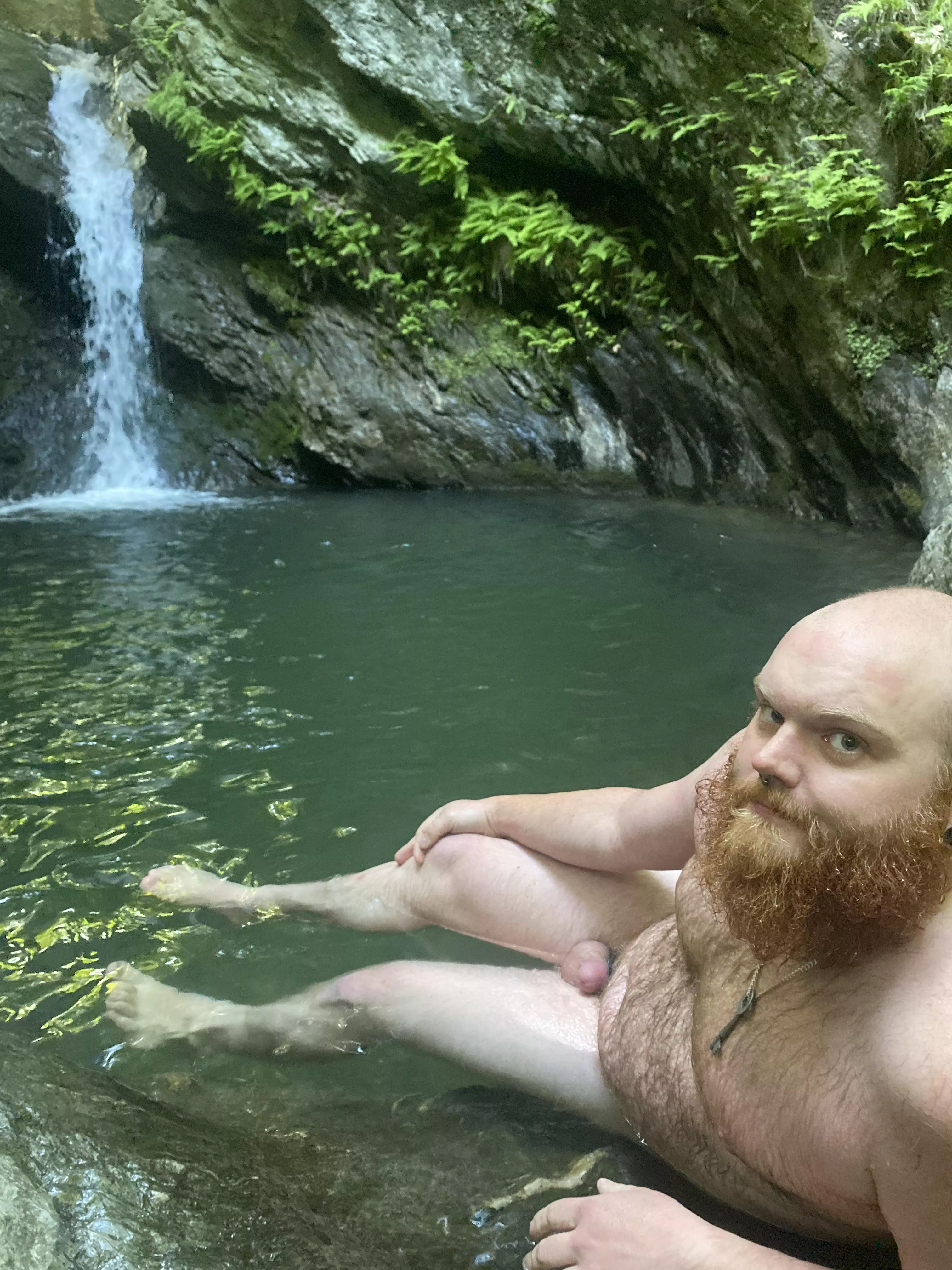 Just a furry ginger cub naked and alone in nature