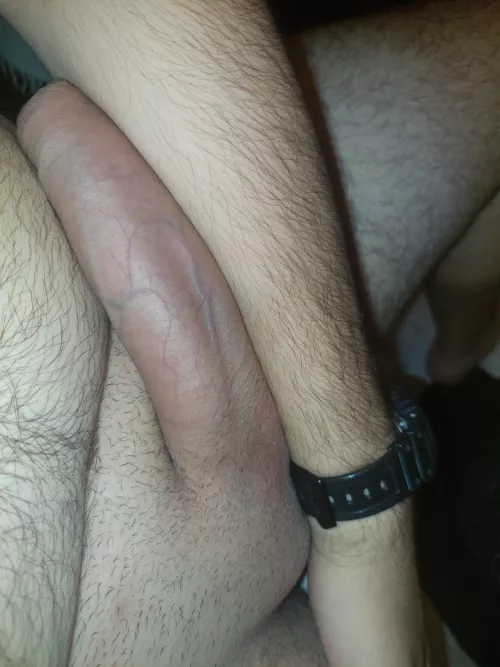 My uncut cock vs my forearm 