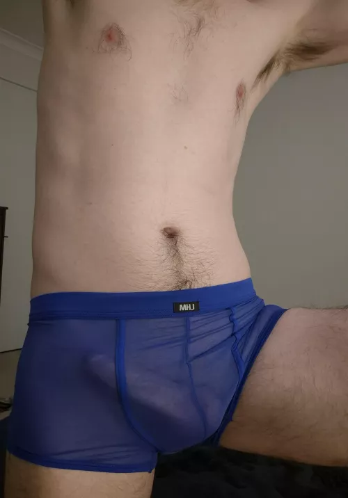 Only got one in the shot, please accept my apologies 