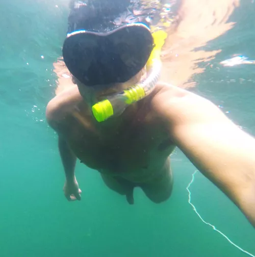 snorkeling from the catamaran to the beach 