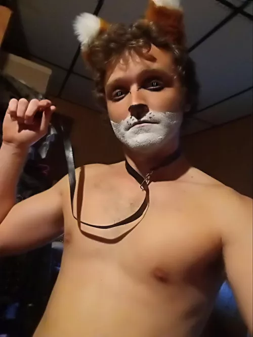 As your pet, let me dominate you 🦊 ❤️