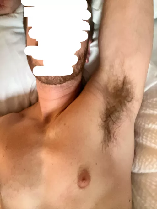 Do you want to lick them now or after the gym?