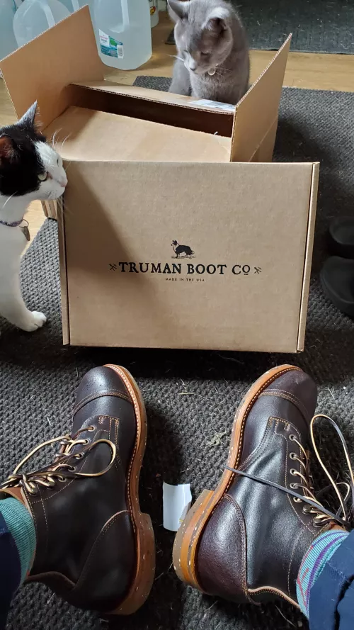 Memorial day sale buy: Truman Brown Waxed