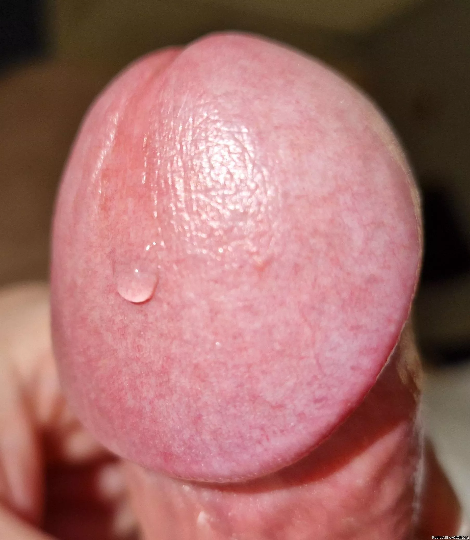 My first time posting here!