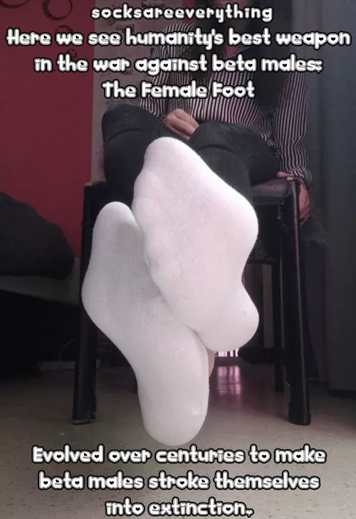 My Socked Feet - The Perfection - And for that you will stroke yourself into extinction my beta baby