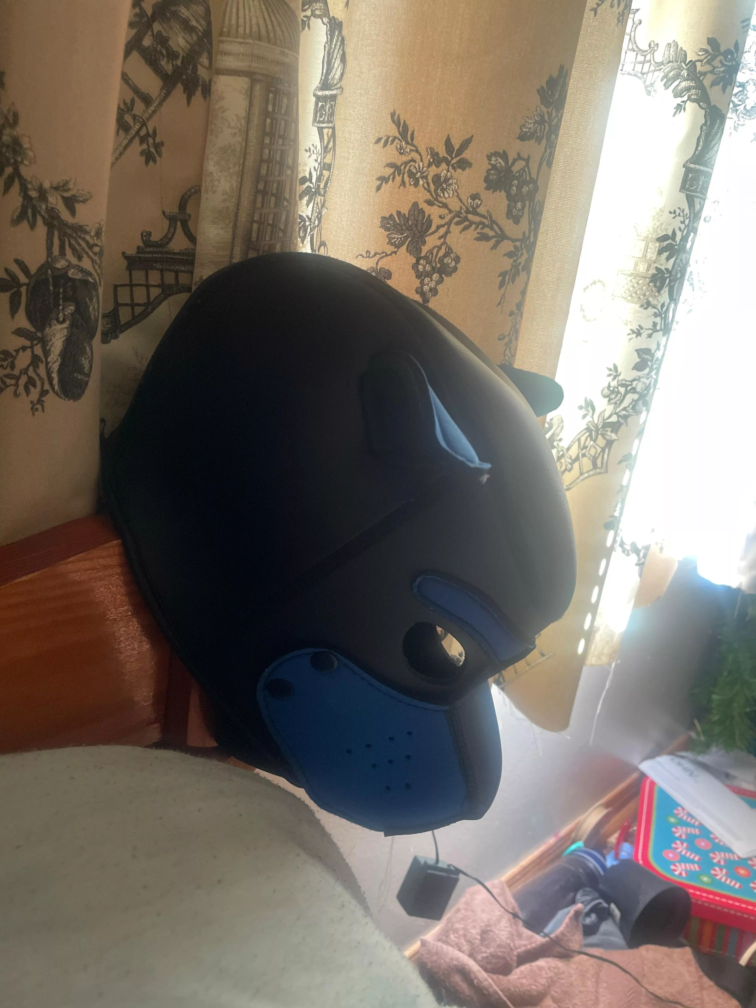 The call of the wild