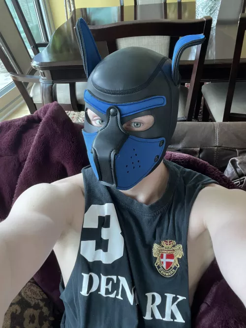 What would you name this pup?