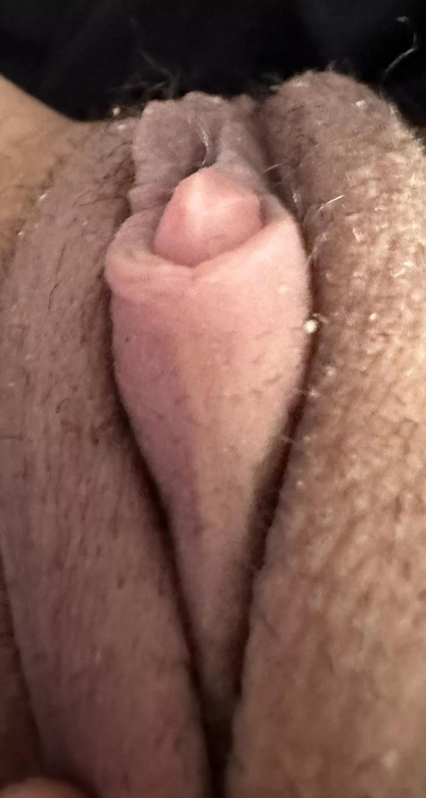 Is this nice to look at or better to taste and feel and fill my ass