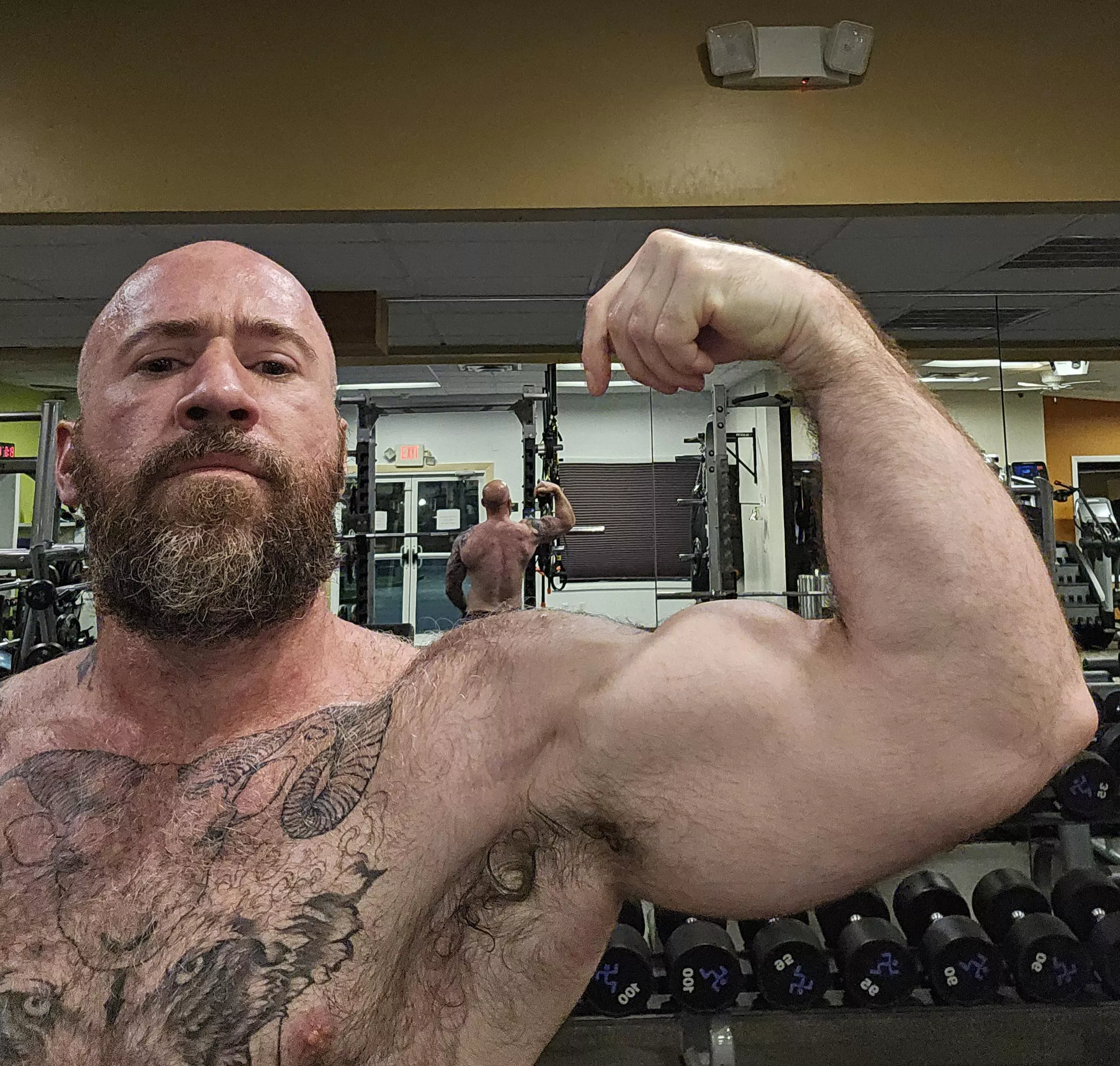 So much protein my sweat smells like ammonia. 