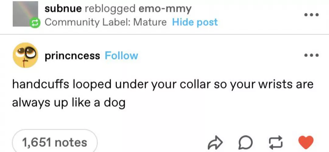 Such a good puppy 💓